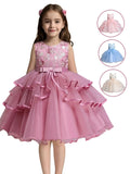 Girls' Flower Embroidery Belted Tulle Dress, Elegant Sleeveless Round Neck Formal  Dress for Party Wedding Guest, Kids Clothes for All Seasons