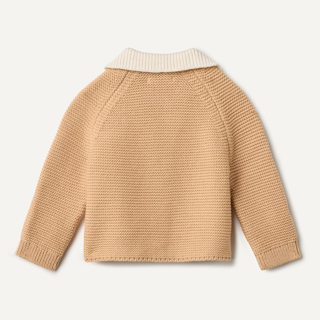 Amazon Essentials x Sofia Grainge Unisex Toddlers and Babies' Peter Pan Collar Sweater Jacket, Soft Cotton Knit with Stretch